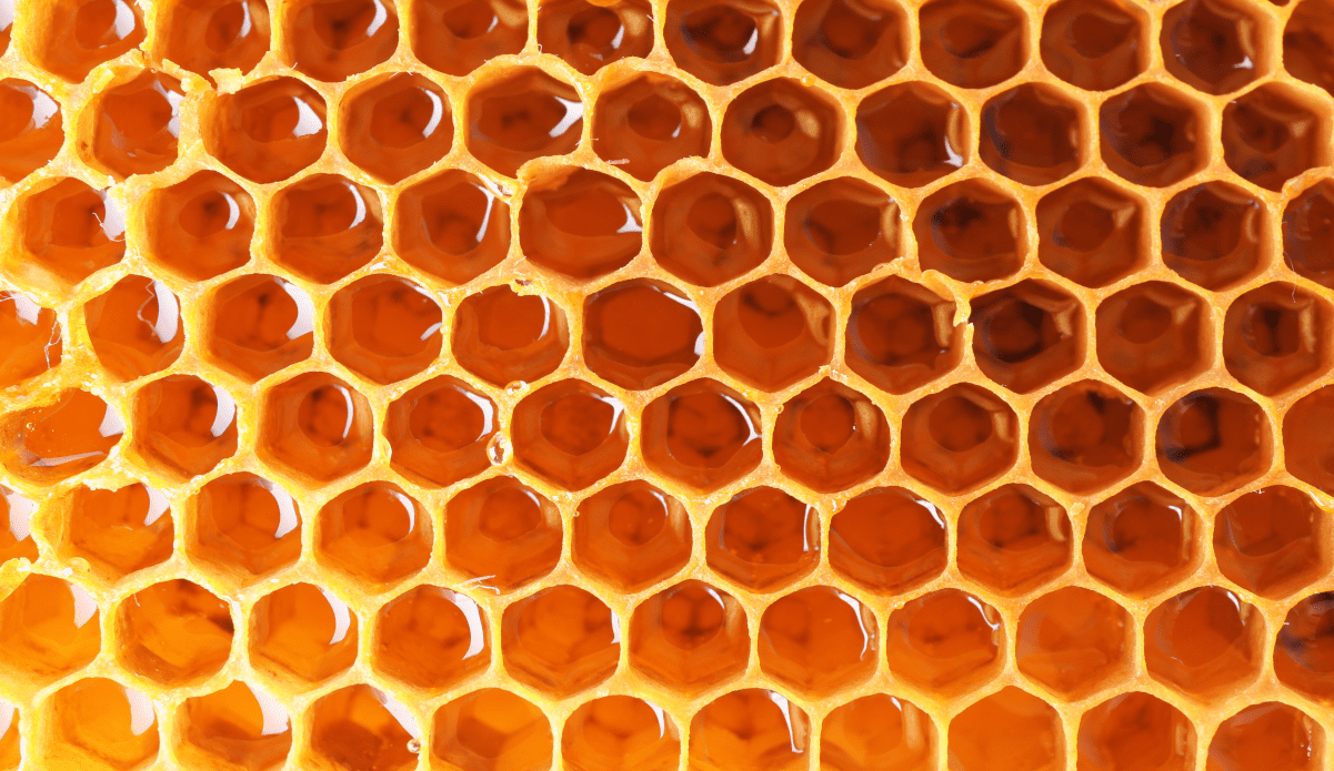 shutterstock 1237725610
